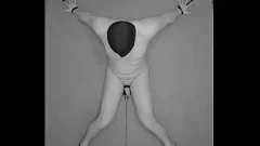 Abspielen 1 Stunde intensive Elektro -Ballbusting: Stöhnen, Schreien und Zittern